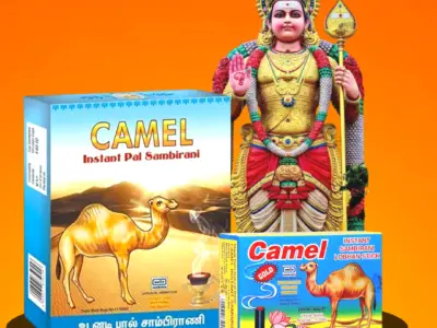 Looking to Dealers & Distributors for Camel instant Stick Sambarani