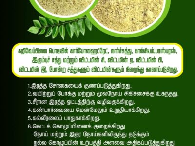 கறிவேப்பிலை இட்லி தோசை பொடி