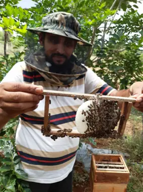 சுத்தமான தேன்(1kg)