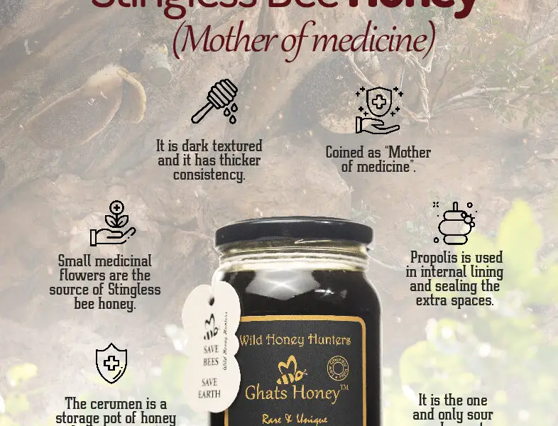 The rare wild Stingless bee honey online from Ghats honey